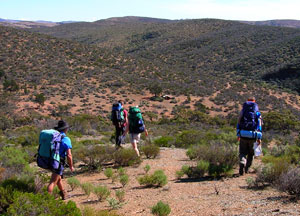 The Mt Bryan area in 2006