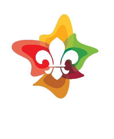 Scouts SA logo